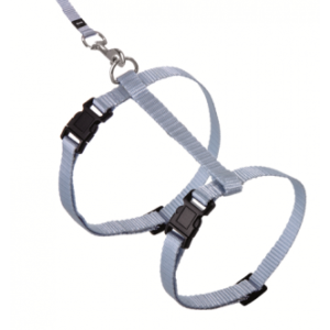 Harnais + laisse pour chat