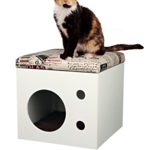 cat box maison pour chat