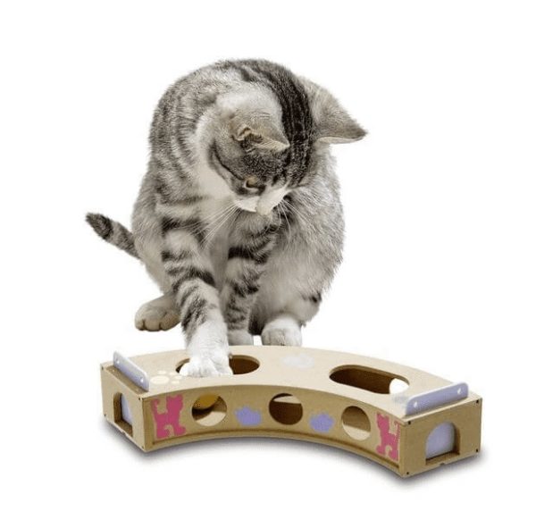 smart cat chourbe jeux d'activité pour chat