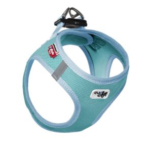 harnais veste air mesh curli 2020 lagoon