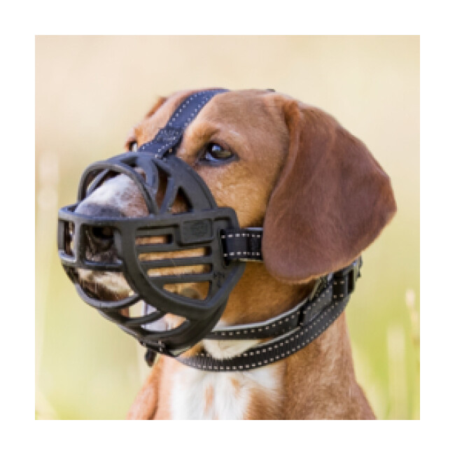 Muselière Pour Chien Taille XL – Maille Respirante, Réglable Avec Velcro – Pour Empêcher Léchage, Morsure, Ingestion – Poids 60 G, Confortable Et Légère