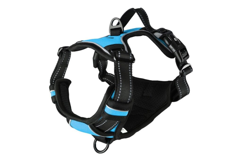 Harnais pour chien BALOU Forme Y