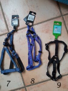 Harnais pour petits chiens top affaire