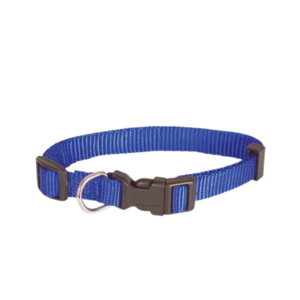 Collier nylon pour chien top affaire en destockage