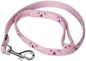 laisses en nylon pour chien top affaire