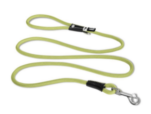 Laisse Curli edition limité 2024