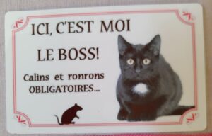 plaque à accrocher en alu chat