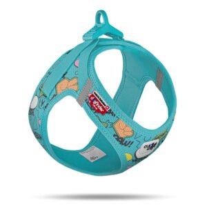 Harnais pour chien Curli Air-Mesh léger et respirant, avec fermeture sécurisée CLASP et bandes réfléchissantes pour balades estivales