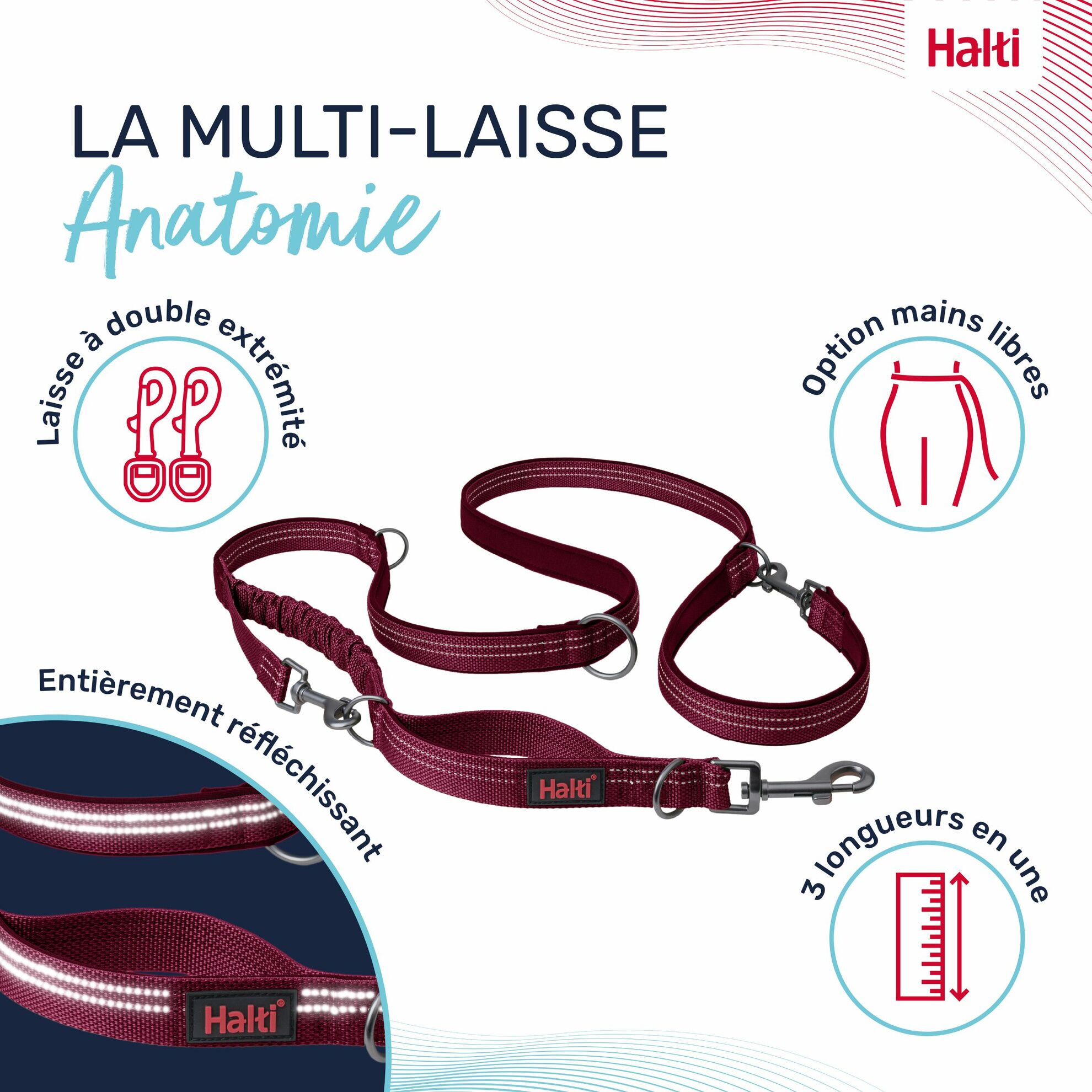 Laisse multi-position Anatomie Halti – Image 9