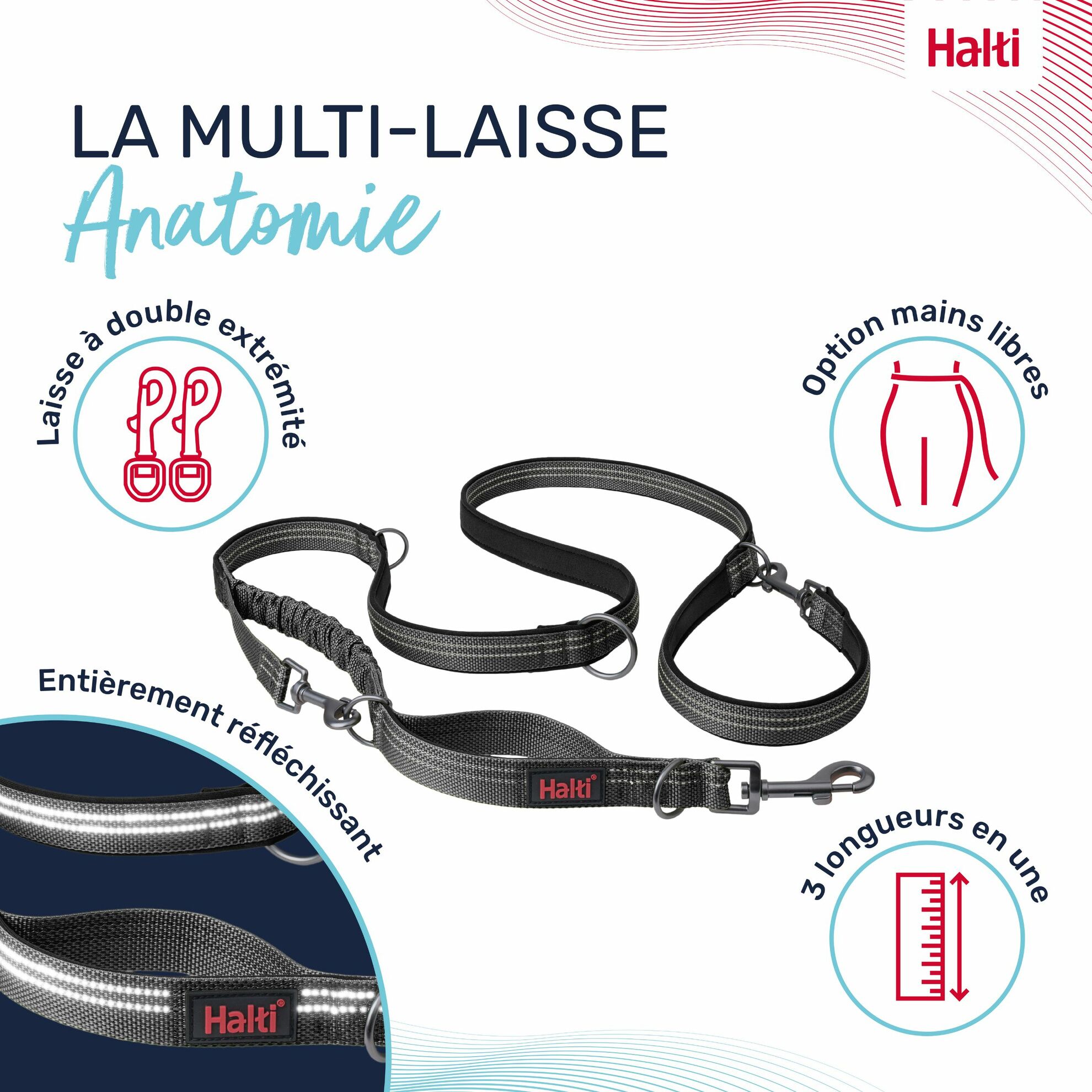 Laisse multi-position Anatomie Halti – Image 3