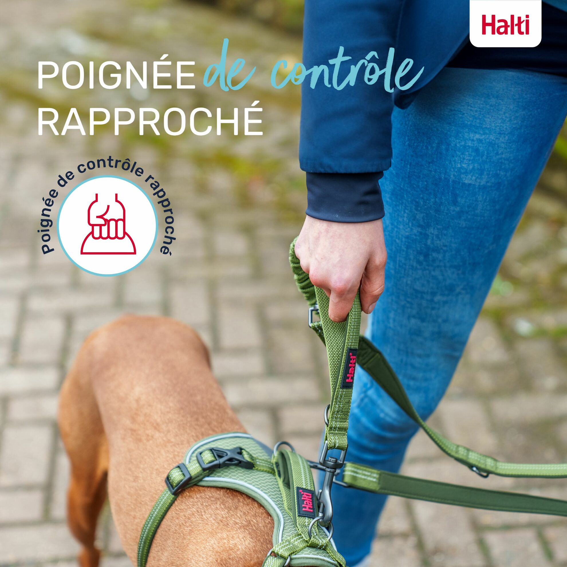 Laisse multi-position Anatomie Halti – Image 5