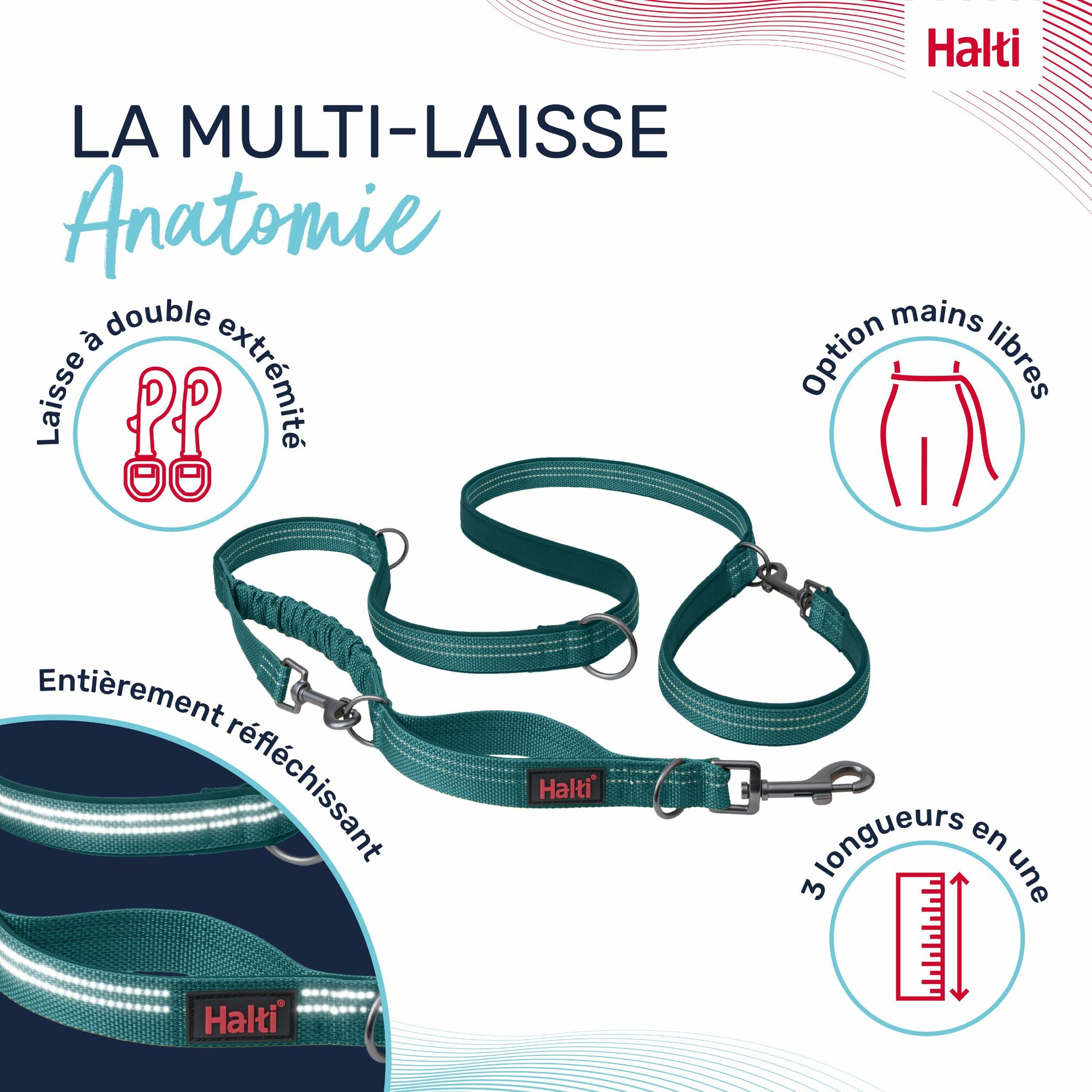 Laisse multi-position Anatomie Halti – Image 7