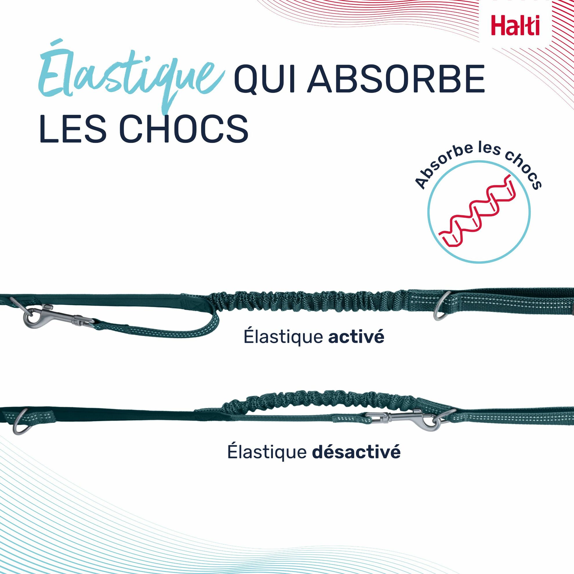 Laisse multi-position Anatomie Halti – Image 8