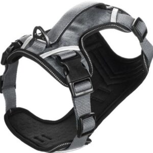 Harnais pour chien "heron" gris - Flamingo