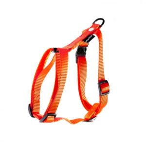 Harnais et laisse en nylon couleur orange Martin Sellier