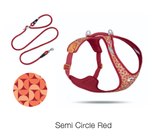 harnais curli belka edition 2026 semi circle red